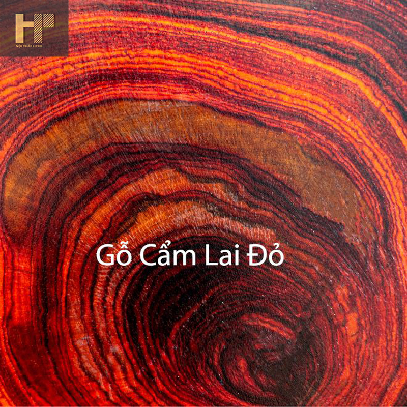 go-cam-lai-2