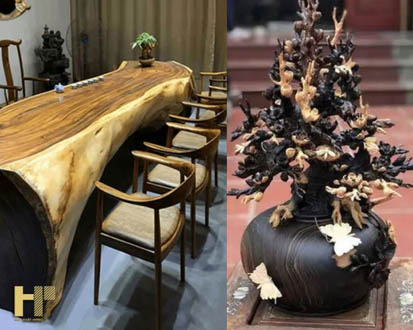 Gỗ cẩm thị là gì? Ứng dụng gỗ cẩm thị trong nội thất nhà ở