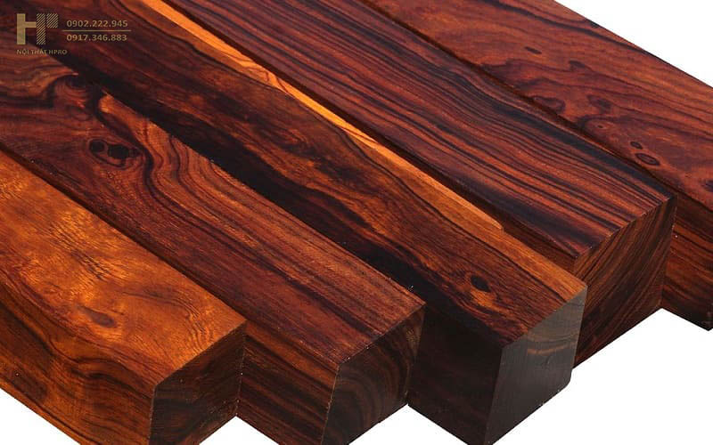 go-cam-xe-4 go-cam-xe-4