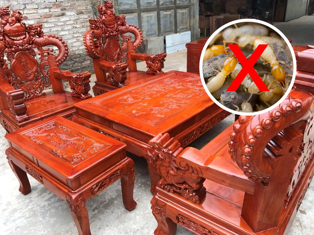 Gỗ hương vẫn có thể bị mọt khi tiếp xúc môi trường ẩm ướt