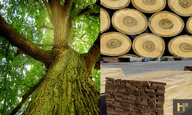 go-soi-nga-va-go-xoan-dao-2 go-soi-nga-va-go-xoan-dao-2