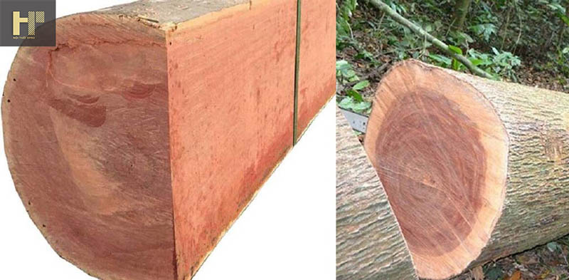 go-soi-nga-va-go-xoan-dao-3 go-soi-nga-va-go-xoan-dao-3