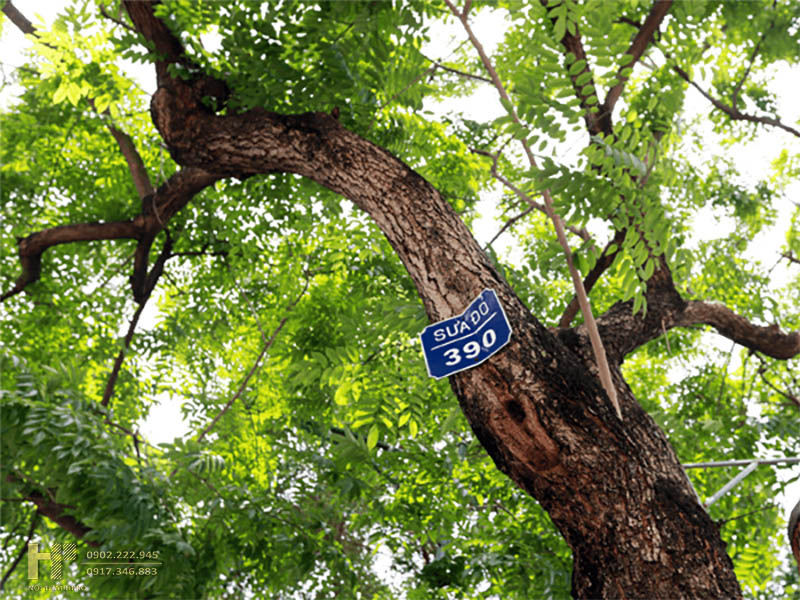 go-sua-do-1 go-sua-do-1