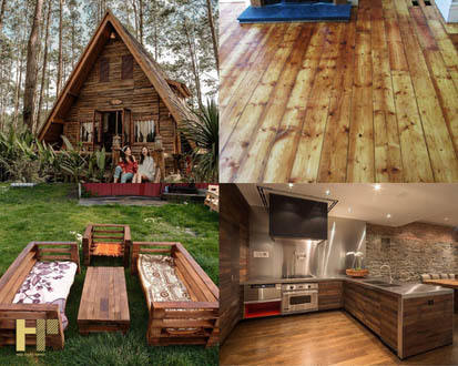 Những hiểu biết về gỗ thông ưu nhược điểm? Ứng dụng trong nội thất