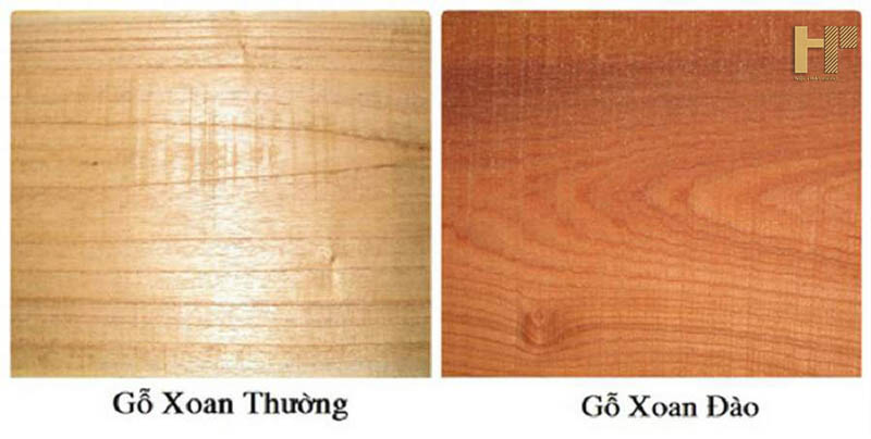 go-xoan-dao-1
