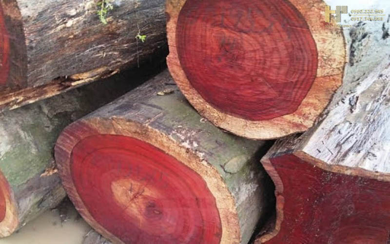 ke-tivi-go-huong ke-tivi-go-huong