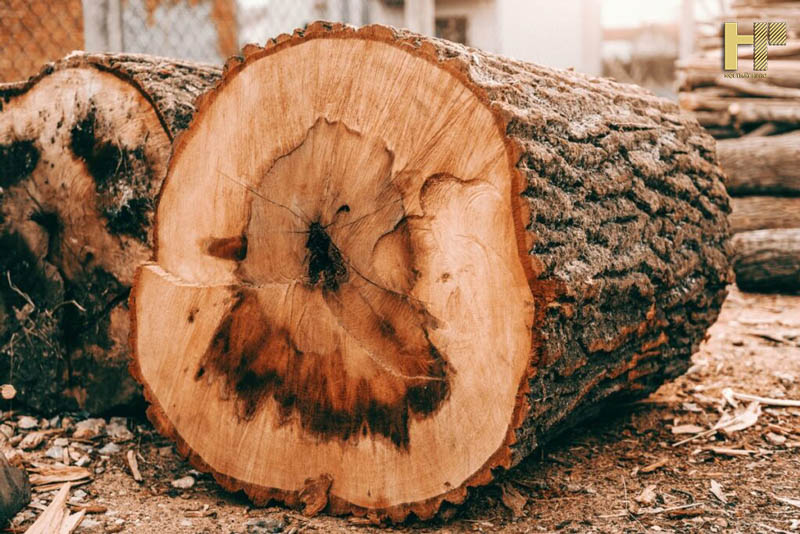 so-sanh-go-oc-cho-va-go-soi-2