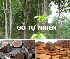 go-tu-nhien-la-go-gi