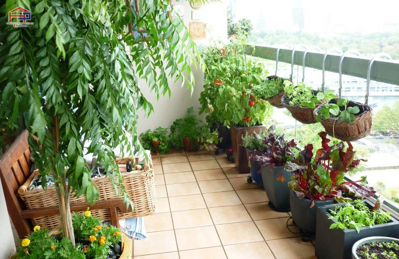 trang-tri-ban-cong-chung-cu-6