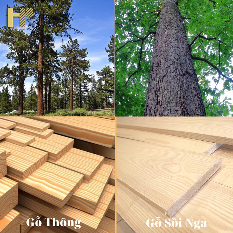 go-thong-va-go-soi-nga-loai-nao-tot-hon-4