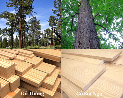 Gỗ thông và gỗ sồi nga loại nào tốt hơn? Cùng nội thất Hpro tìm cầu trả lời